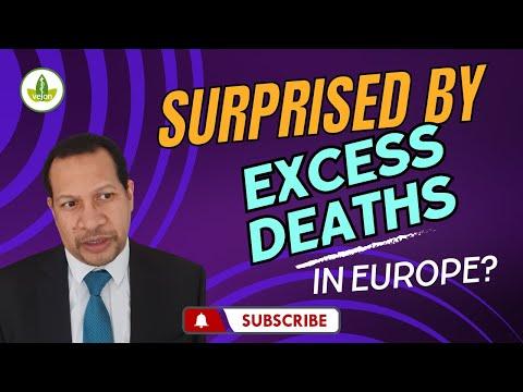 Uncovering the Truth Behind Excess Deaths in Europe