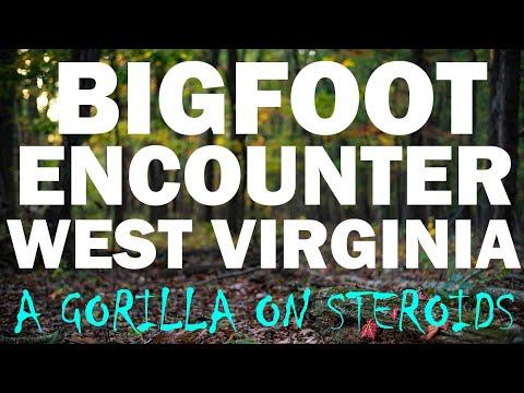 Unveiling the Terrifying Bigfoot Encounter in West Virginia