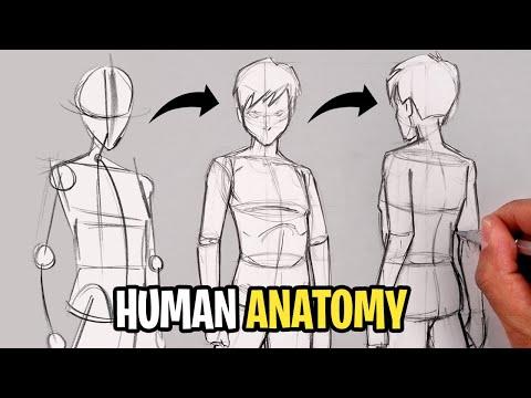 Master the Art of Drawing the Human Body with These Pro Tips