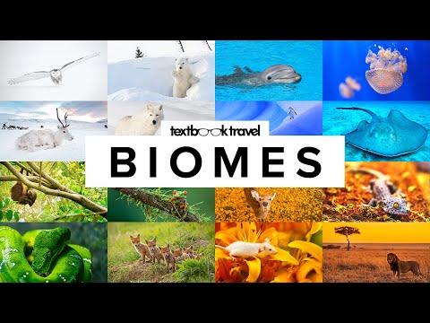 Discovering the Fascinating World of Biomes and Their Unique Wildlife