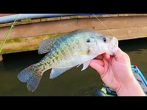 Mastering the Dock Shooting Technique for Crappie Fishing
