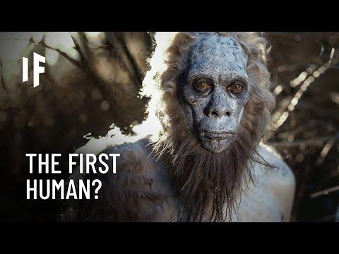 Unveiling the Evolution of Humans: A Fascinating Journey Through Time