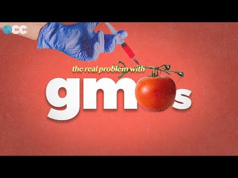 Unveiling the Truth About GMOs: Debunking Myths and Embracing Benefits
