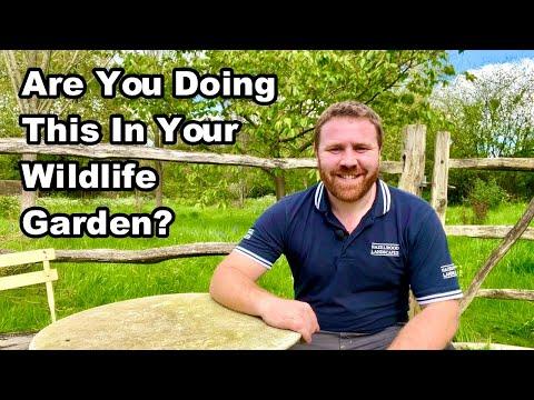 Transform Your Garden for Wildlife: A Guide to Creating a Wildlife Haven