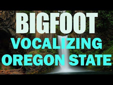 Unveiling Mysteries of Bigfoot Encounters in Oregon State