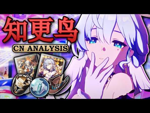 Unleashing Robin's Potential: A Comprehensive Analysis