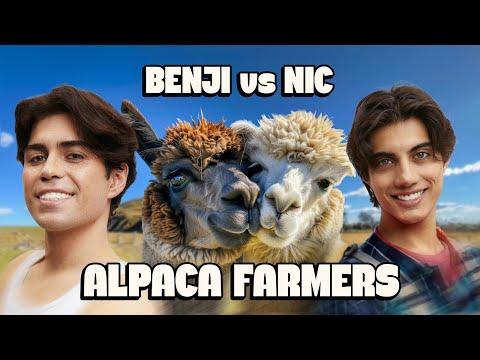 Becoming Alpaca Farmers: A Unique Journey